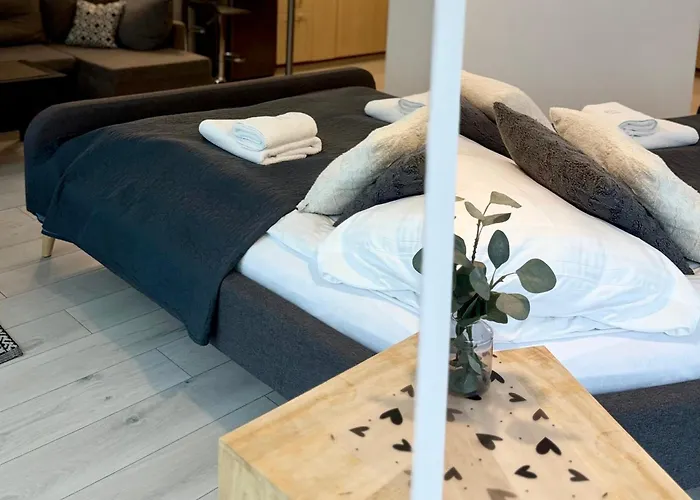 Al-dom Awangardia 211, W Dzielnicy Uzdrowiskowej, 300m Do Morza Apartment