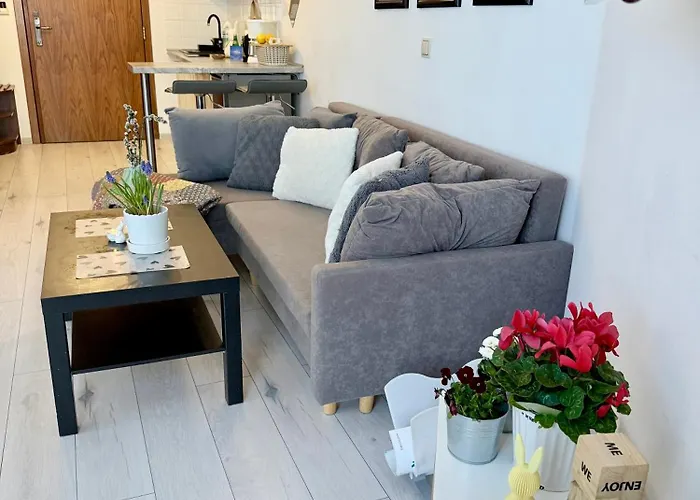 Apartment Al-dom Awangardia 211, W Dzielnicy Uzdrowiskowej, 300m Do Morza *